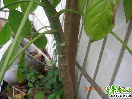 DSCN2544 ().JPG