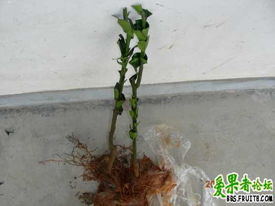 DSCN2310.JPG
