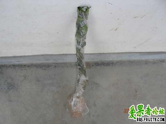 DSCN2305.JPG