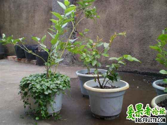 PA300023 (С��).JPG