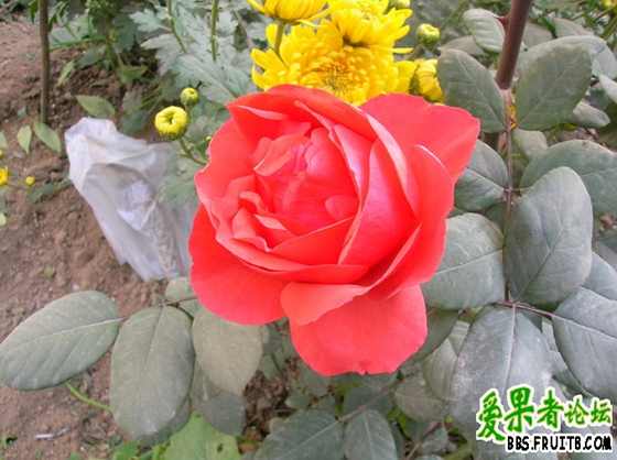 DSCN3408_С.JPG