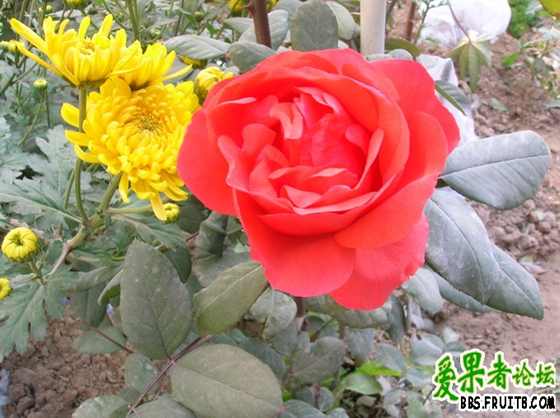 DSCN3407_С.JPG