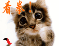 200902251935328964.gif