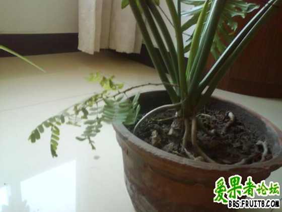 Ƭ0847.jpg