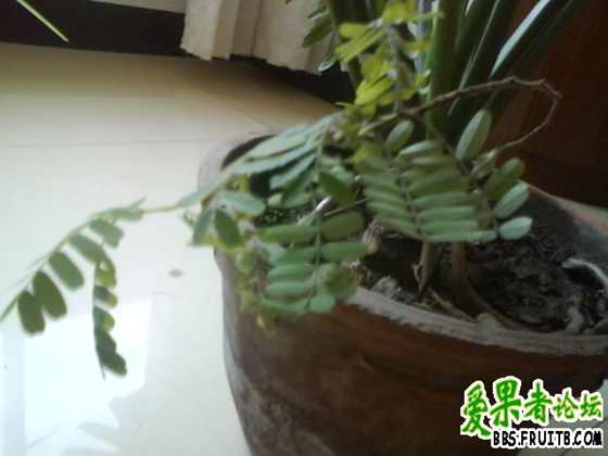 Ƭ0848.jpg