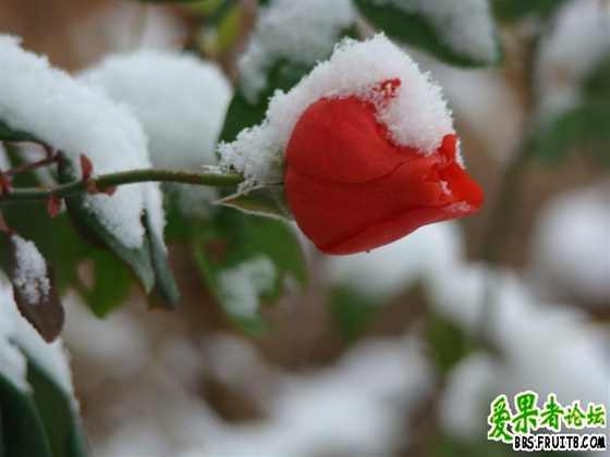 DSC01349 (����).JPG