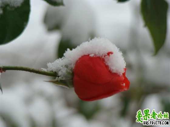 DSC01347 (����).JPG