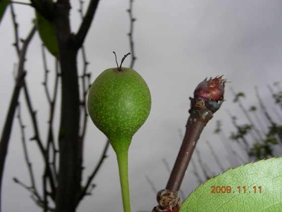 DSCN2651.JPG