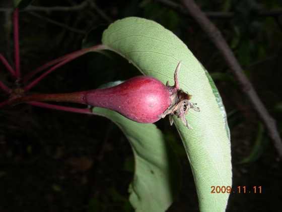 DSCN2685.JPG