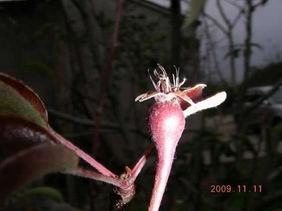 DSCN2681.JPG