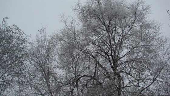 DSC01377 ().JPG