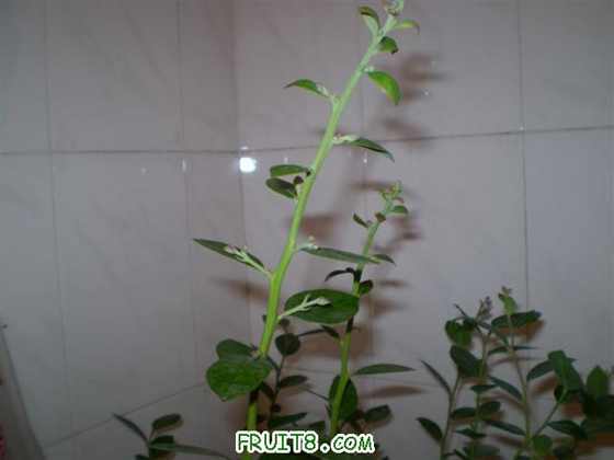 PB150033 (С��).JPG