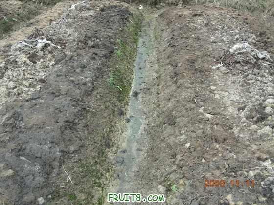 DSCN2730.JPG