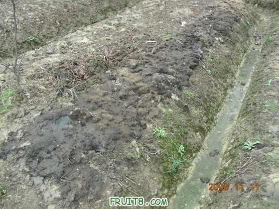 DSCN2731.JPG