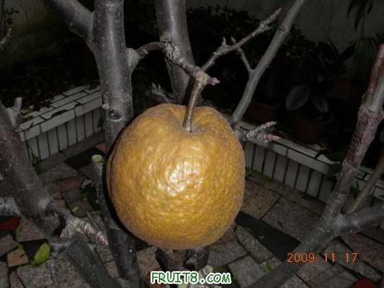 DSCN001.JPG