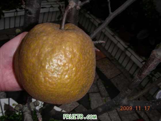 DSCN002.JPG