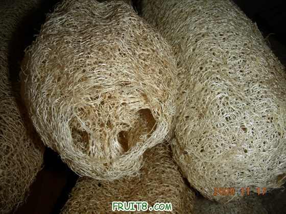DSCN2928.JPG