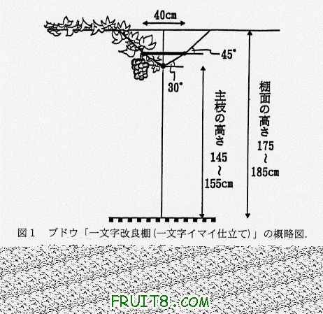 98165z1.gif