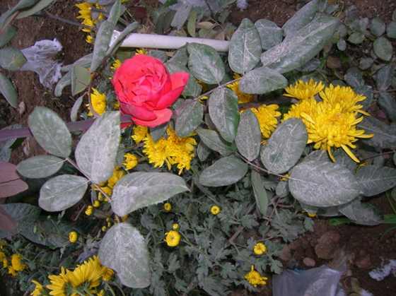 DSCN3582_С.JPG