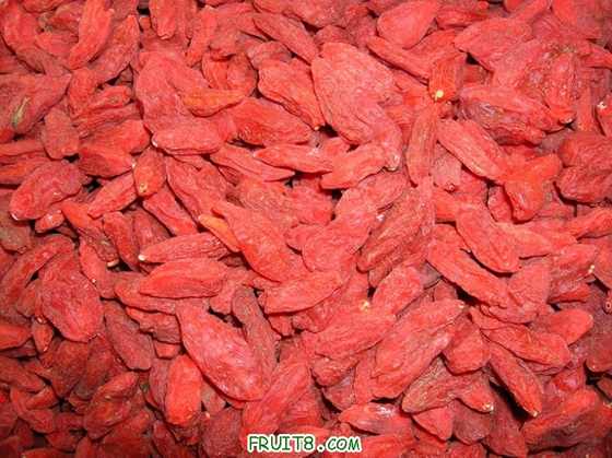 DSCN3701_С.JPG