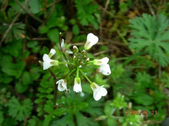 DSCN3626.JPG
