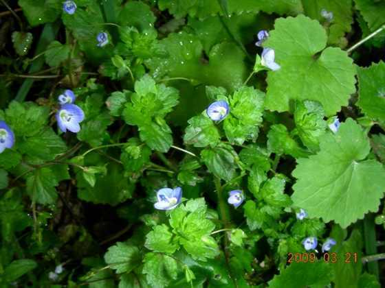 DSCN3623.JPG