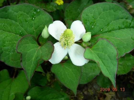 DSCN6028.JPG