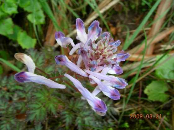 DSCN3608.JPG
