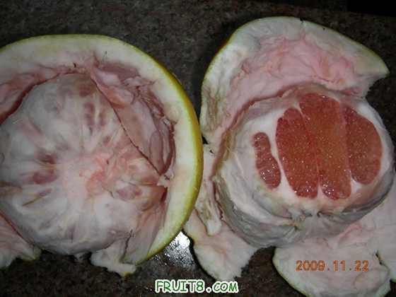 DSCN3127.JPG