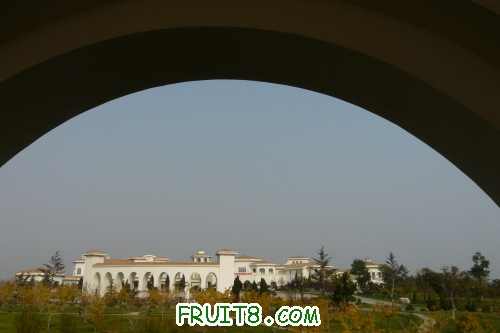 winetour2009103033064424.jpg