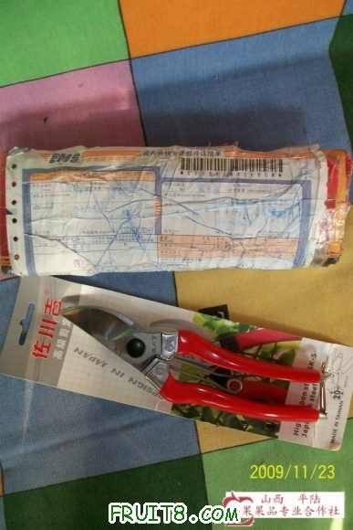 100_0110.JPG