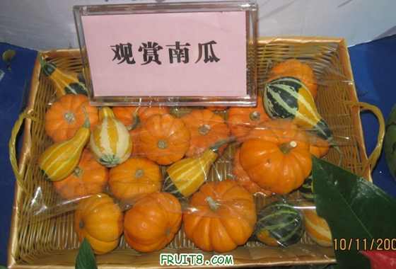 Ƭ 060.jpg