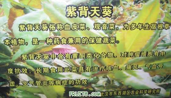 Ƭ 069.jpg
