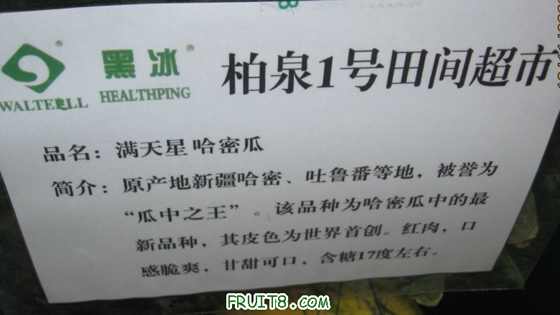 Ƭ 081.jpg