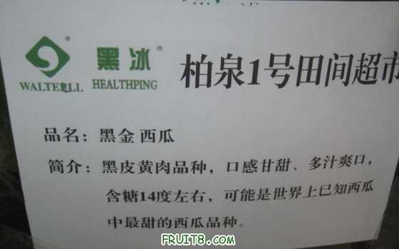 Ƭ 080.jpg