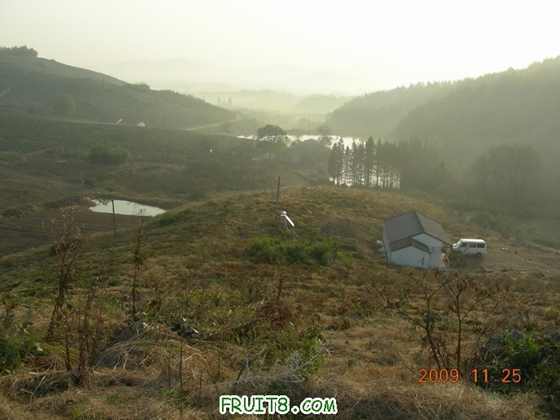 DSCN3209.JPG