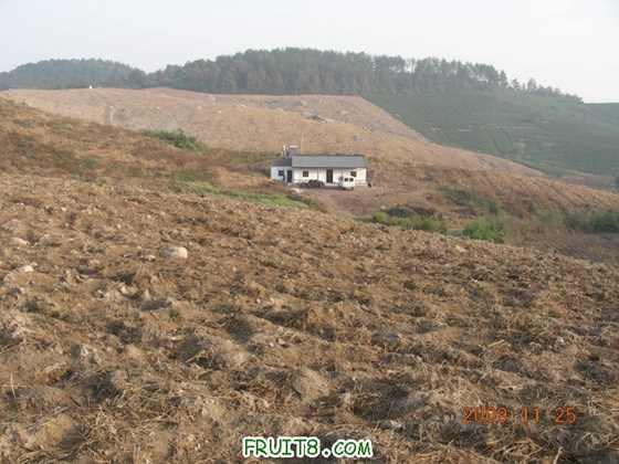 DSCN3218.JPG