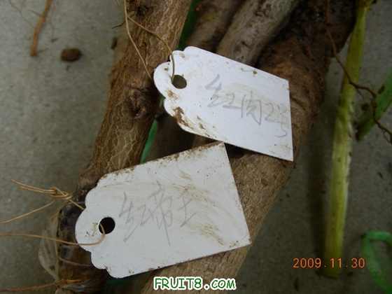 DSCN3342.JPG