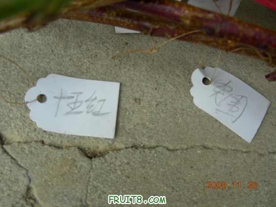 DSCN3337.JPG