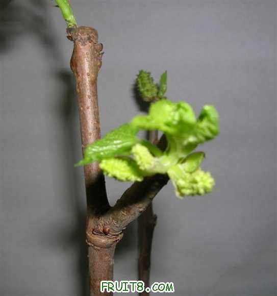 DSCN3951 ().JPG