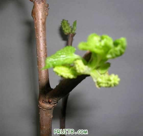 DSCN3952 ().JPG