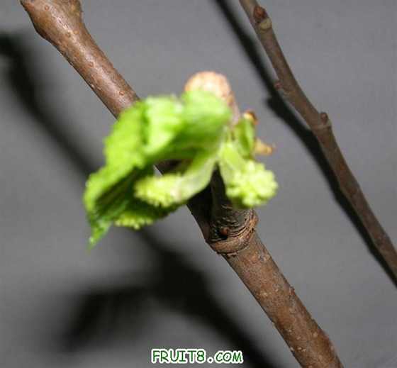 DSCN3956 ().JPG