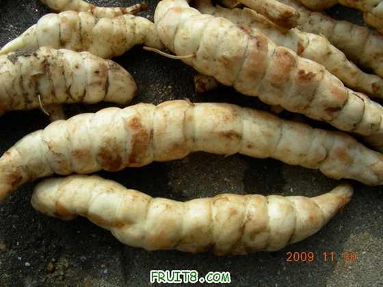 DSCN3352.JPG