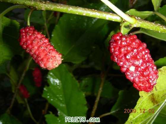 DSCN3375.JPG