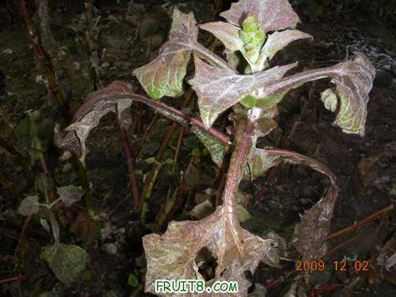 DSCN3420.JPG