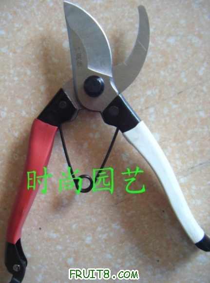 ں.jpg