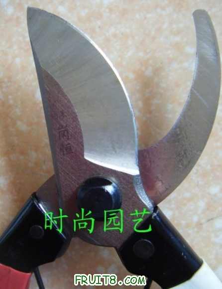 82a420e1998fc812bbbe19ea1d012e1f.jpg