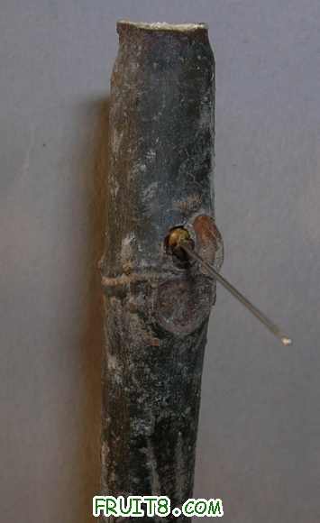 DSCN3977.JPG