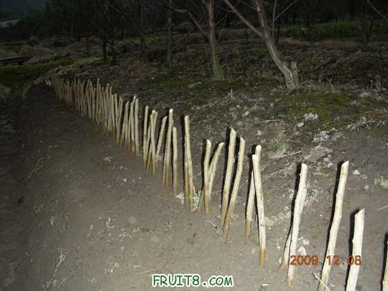 DSCN3630.JPG