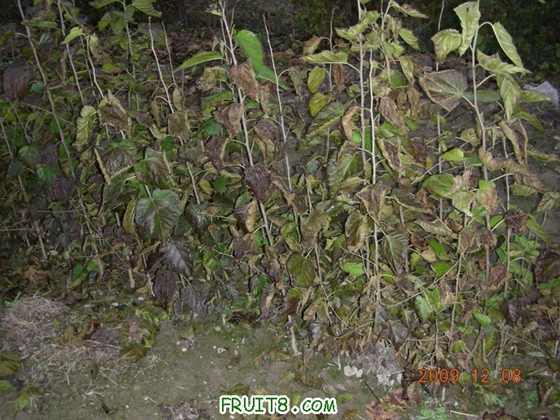 DSCN3626.JPG